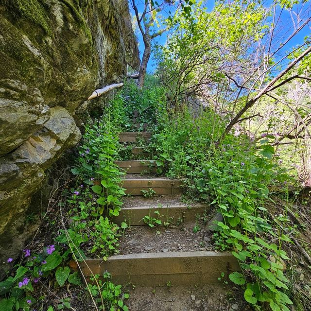 Absolutely loved the ecopath 