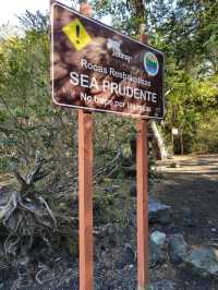 해외여행 칠레 푸에르토 바라스의 Saltos del Rio Petrohue Park