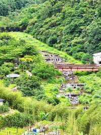 走讀姜子寮聚落及森林療癒步道～絕壁步道