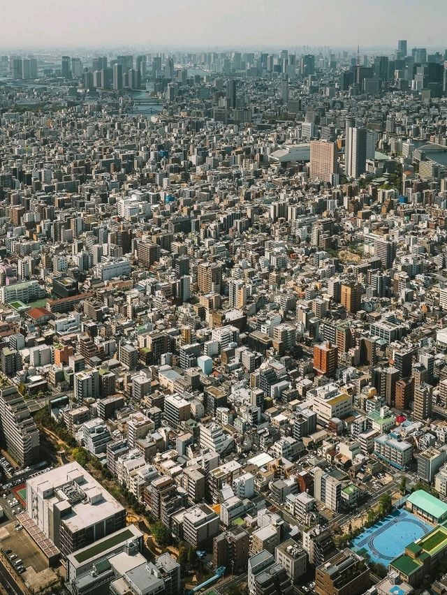 1 day itinerary-TOKYO🇯🇵
