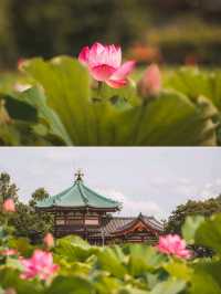1 day itinerary-TOKYO🇯🇵