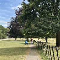 Nottingham🇬🇧Review of Wollaton Hall and Deer Park🦌🏞️