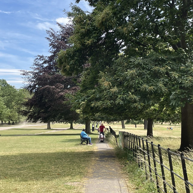 Nottingham🇬🇧Review of Wollaton Hall and Deer Park🦌🏞️