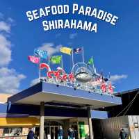 Shirahama🇯🇵Dive into Seafood Paradise at TORETORE ICHIBA! 🍣🦀