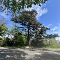 Geneva Day Trip Itinerary
