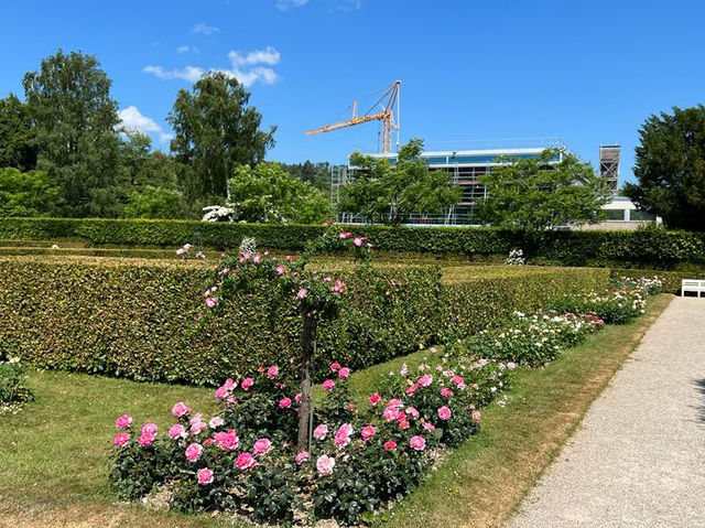 🌹✨ A Blooming Dream: Rose Garden of Baden-Baden, Germany 🇩🇪🌿   🌹✨ A Blooming Dream: Rose Garden of Baden-Baden, Germany 🇩🇪🌿
