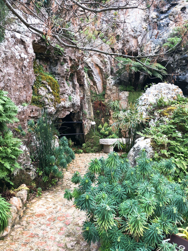Eze | The nice botanical garden near Nice 