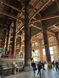 Step into Spiritual Grandeur at Nara’s Todaiji!