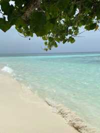 Plumeria Maldives Vaavu Atoll
