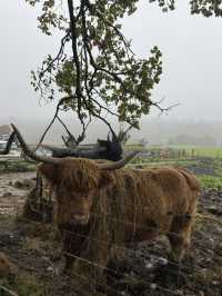 Glencoe, Highlands, Glenfinnan 