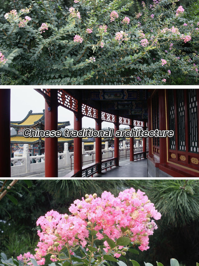 Forbidden Beauty🌸 Forbidden Beauty🌸