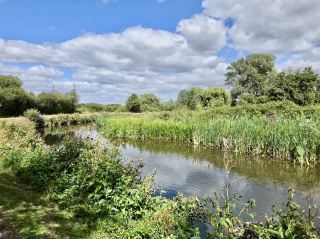 Wetlands, Wildlife, and Wonders. Exploring River Lee Country Park