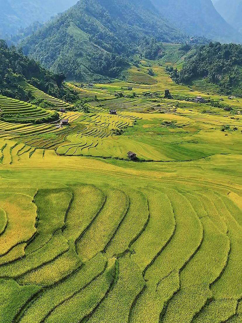ベトナムで棚田を見るのに最高の絶景スポット。 | Trip.com サパ