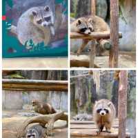 👪 BEST FAMILY FRIENDLY ZOO IN HANGZHOU ‼️