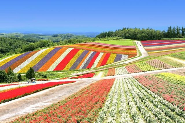 Do you know how beautiful Hokkaido in Japan is?