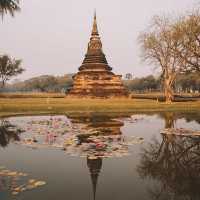 🇹🇭瑪哈泰寺Wat Mahathat@素可泰