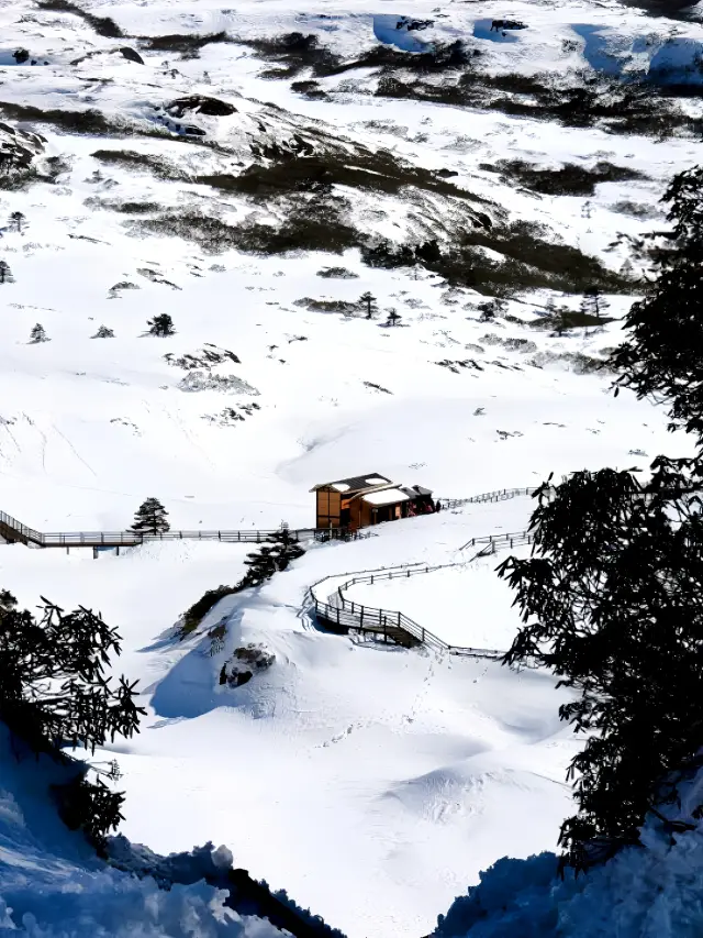 冬季旅雪|轿子雪山一日遊攻略，速度