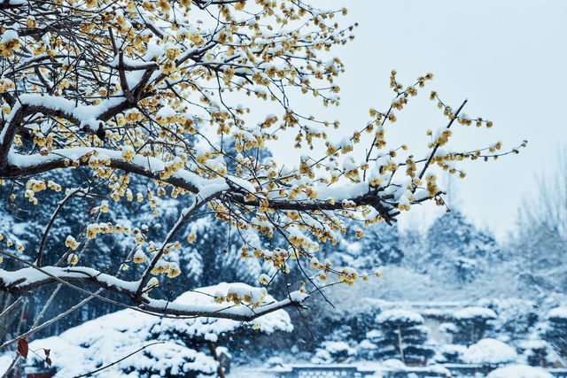 雪中水繪園