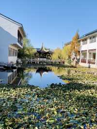 深秋的明月湖國家濕地公園令人心情氣爽