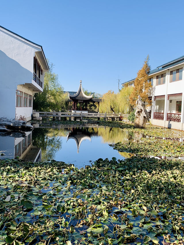 深秋的明月湖國家濕地公園令人心情氣爽