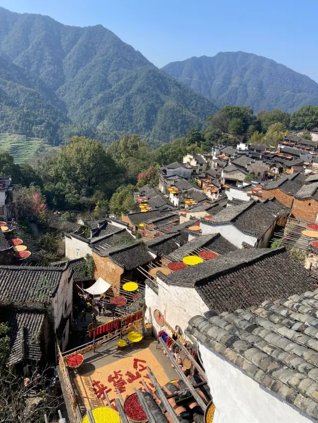 2023婺源篁嶺“秋色”時間表，趕緊收藏！