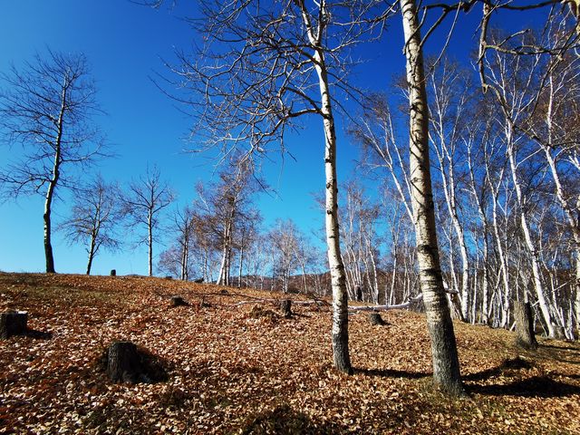 河北內蒙交界蛤蟆壩，自駕遊寶藏地景色絕美