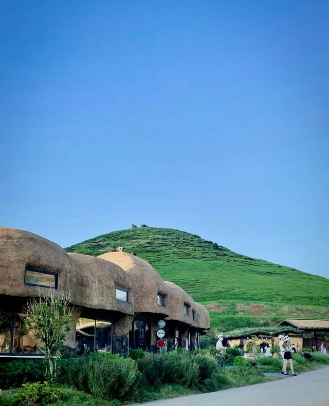 奔向自由與光  郴州仰天湖大草原