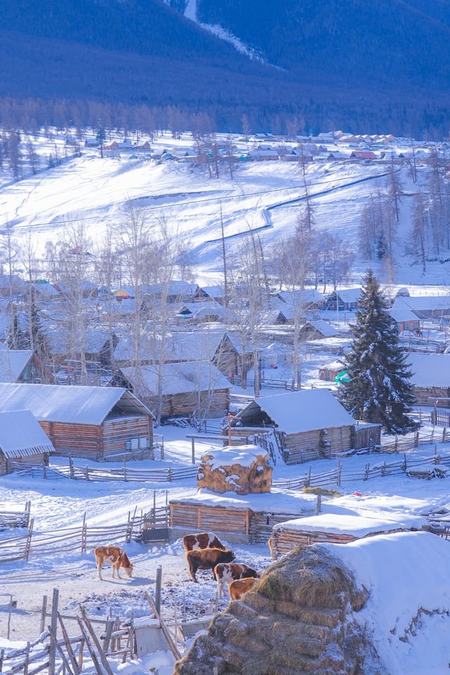 冬季新疆全攻略 一起在雪裡肆意狂歡吧