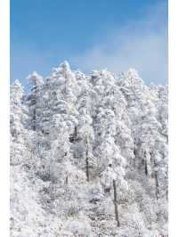 成都西岭雪山｜｜這樣的西岭雪山誰會不愛｜