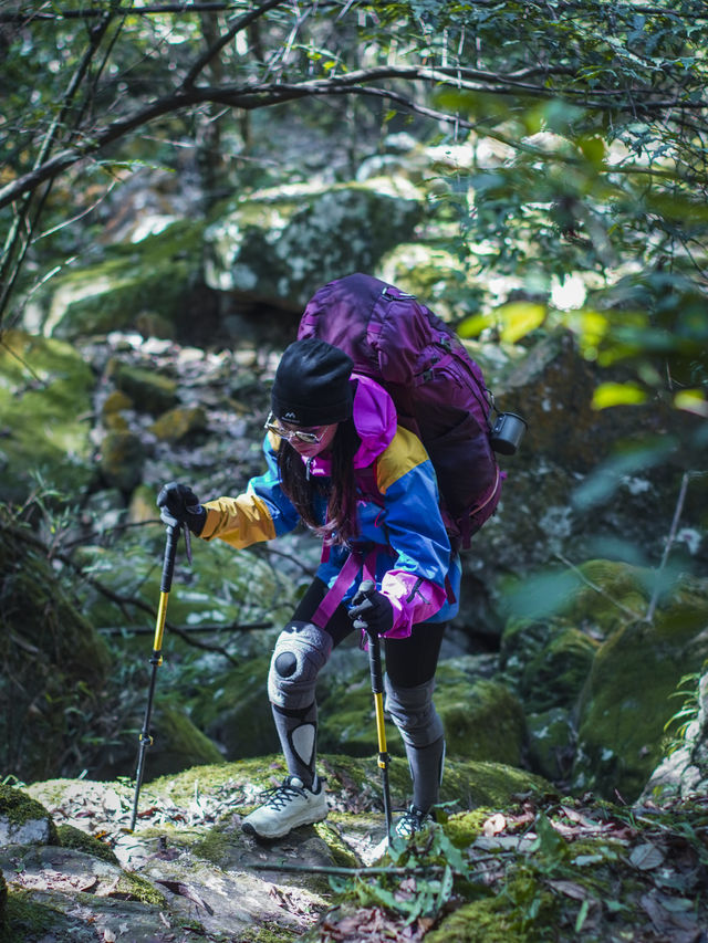 年度盤點推薦大家去的山峰 | 廣西金秀五指山