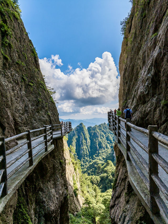 豫C洛陽｜老君山風景名勝區感受一步一景