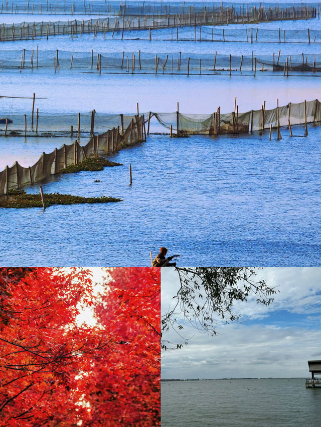 蘇州陽澄湖——讓眼睛和心靈來一場雙重洗禮