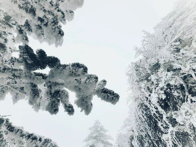 雲南|這兩天的驕子雪山，美的不像話！