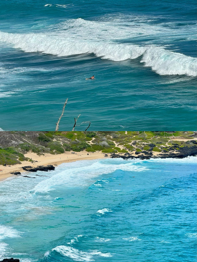 夏威夷去哪個島好這篇超全攻略告訴你