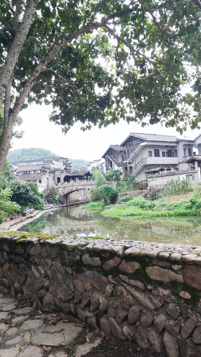 一個遺落在大山裡的夢