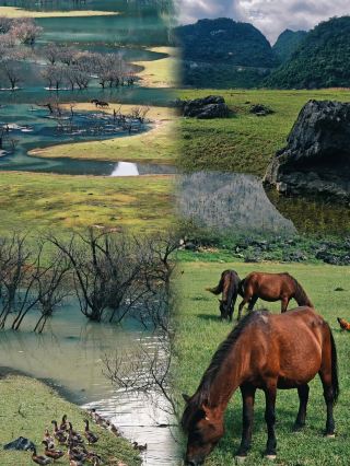 When the Xinjiang grassland meets the Guilin landscape
