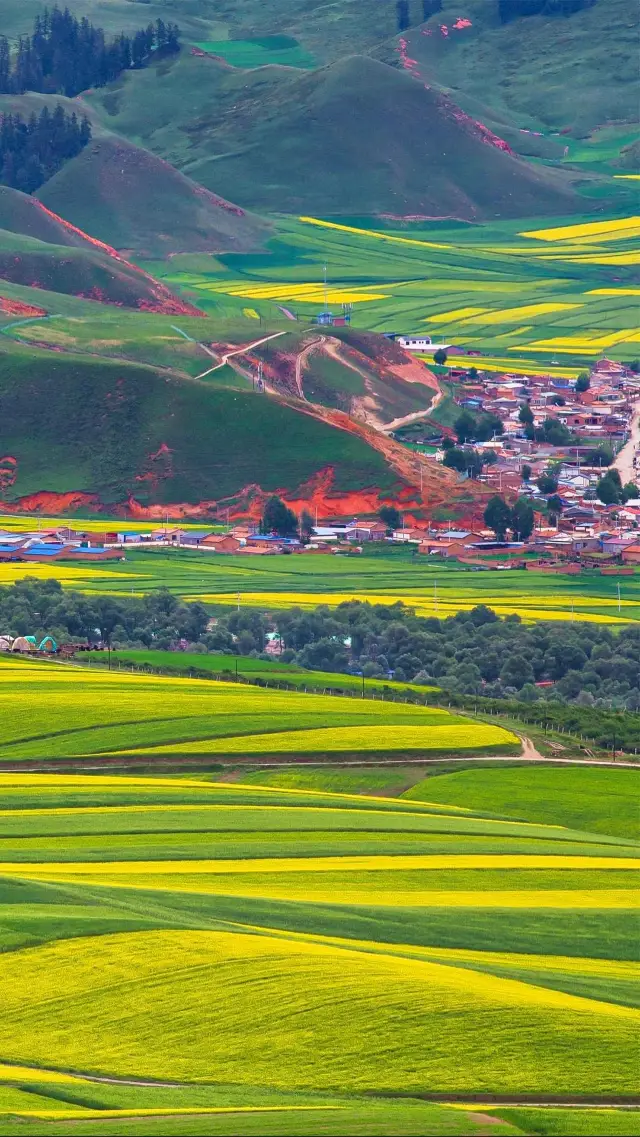 Qilian Mountain Zhuoer Scenic Area