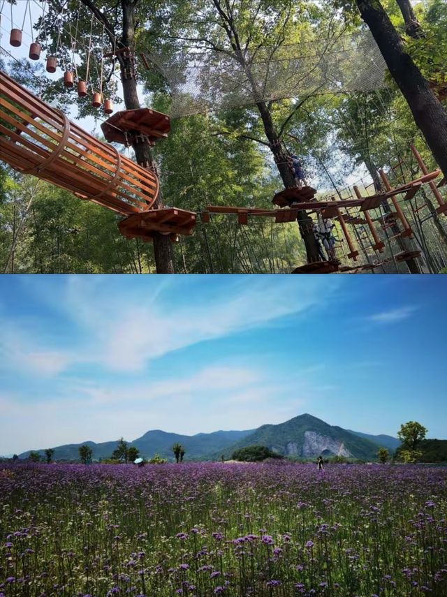 “靈山幻影”百態千姿