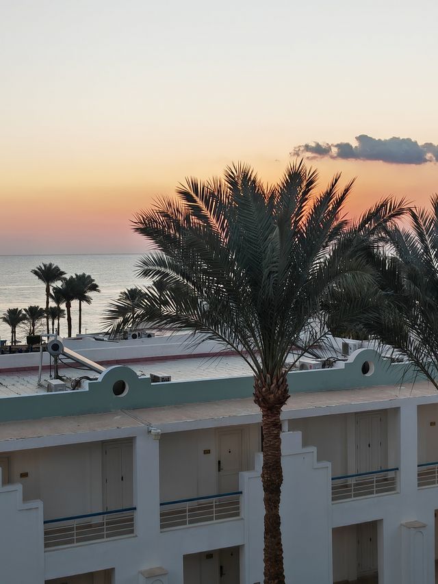 紅海躺平之旅，埃及沙姆沙伊赫萬麗酒店