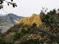 仙台山位於河北省石家莊市井陘縣境內，是國家森林公園，景區面積大，遊覽設施全，景色風光美，有奇缺植被、