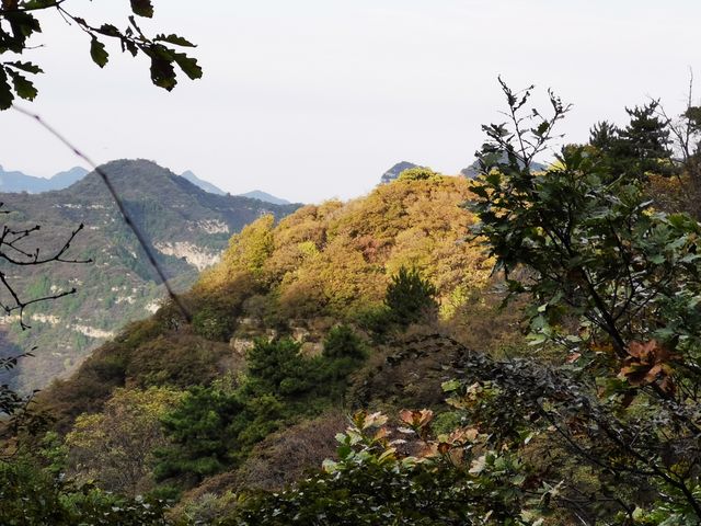 仙台山位於河北省石家莊市井陘縣境內，是國家森林公園，景區面積大，遊覽設施全，景色風光美，有奇缺植被、