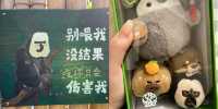 家人們誰懂啊？紅山動物園的動物好多呀！
