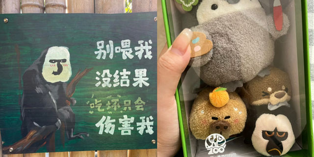 家人們誰懂啊？紅山動物園的動物好多呀！