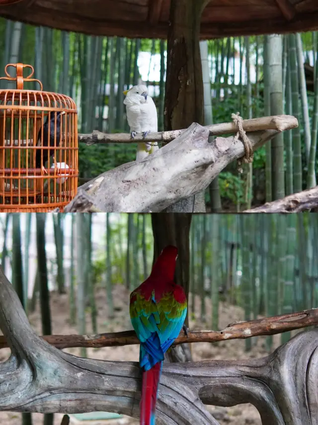 นานภูเขาไผ่ 2 วันท่องเที่ยว