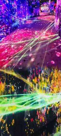 EPSON teamLab 無界美術館：探索無邊界的藝術世界