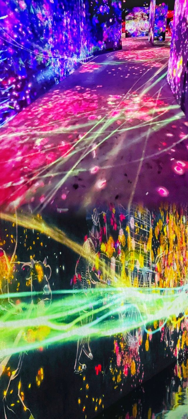 EPSON teamLab 無界美術館：探索無邊界的藝術世界