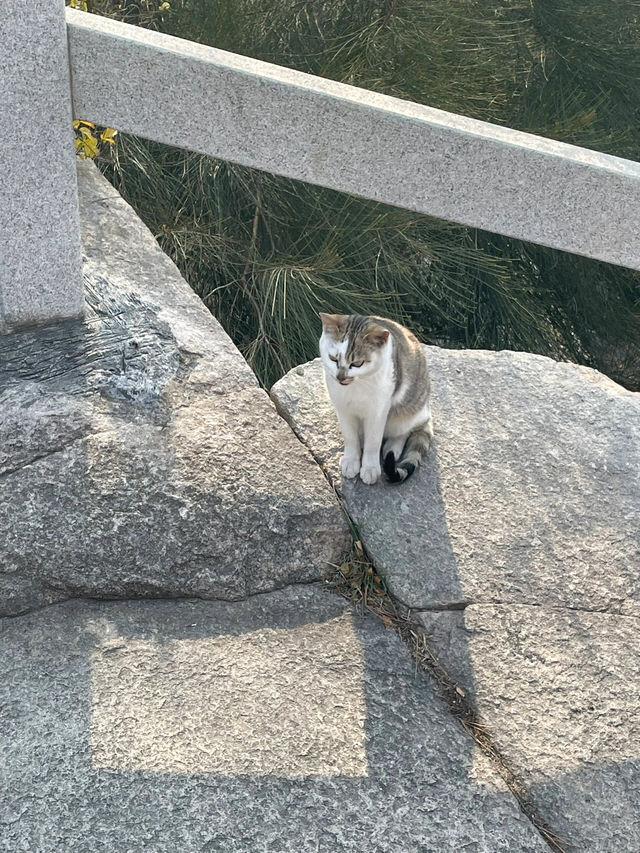 浙江普陀山自駕遊實況記錄|||