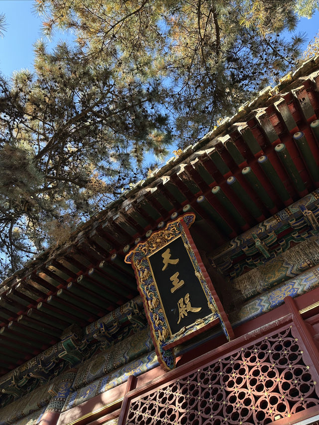 發現北京四季之美·雲居寺