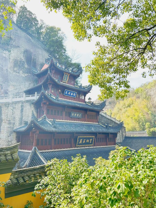 新昌大佛寺祈福南街碳水王國逛吃|||