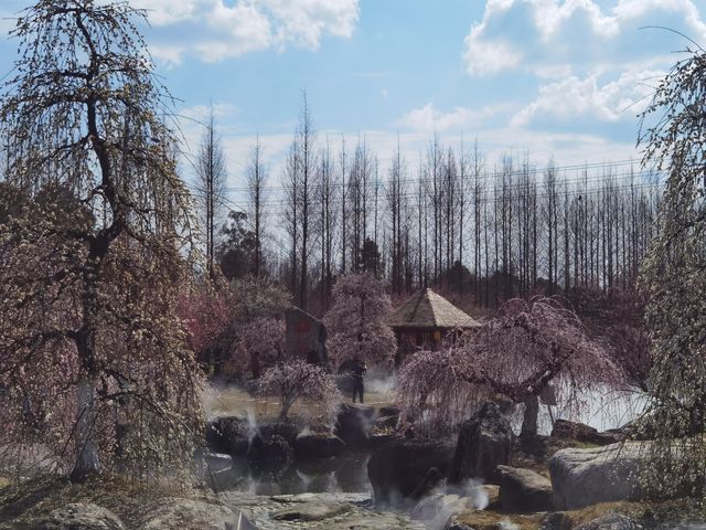 問花村—全都盛開